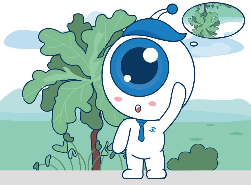 惠州希瑪眼科1周年！帶你走出護眼誤區(qū)