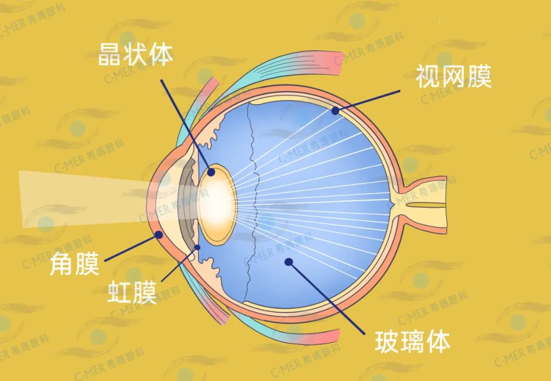 惠州白內障醫院：喝可樂還會喝出白內障？