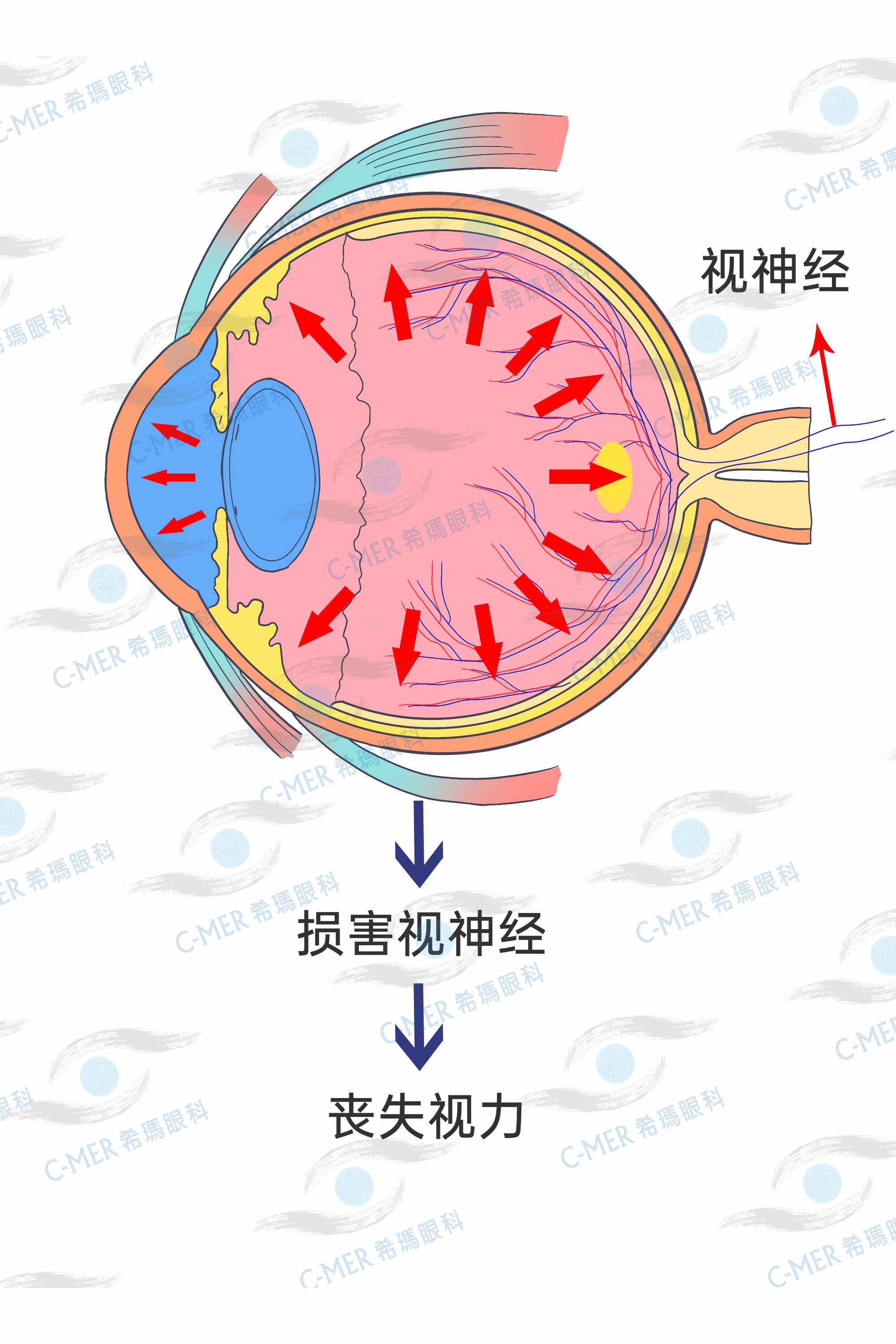 ?，斞劭屏猪槼保旱昧饲喙庋蹠鲉幔? width=